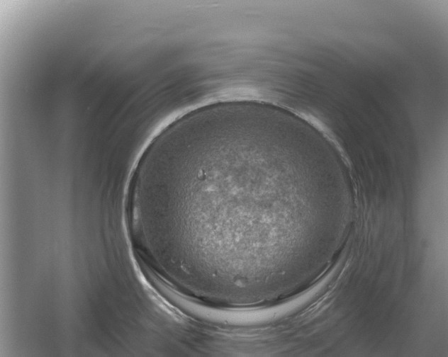 X0000058141342200509302009