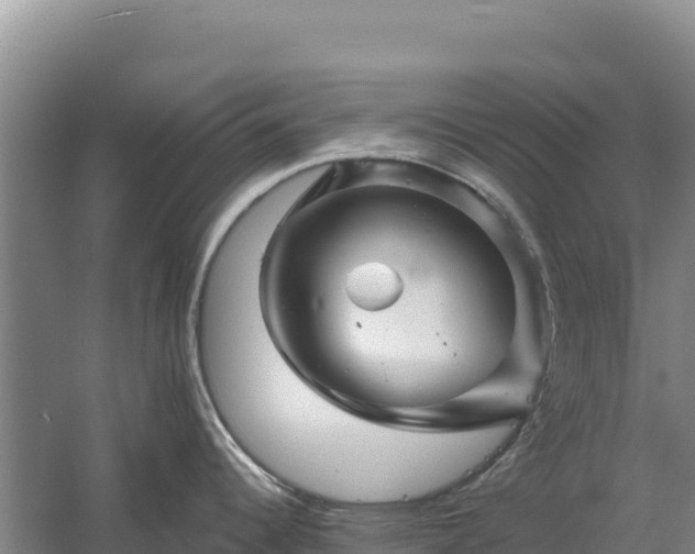 X0000058141344200509302009