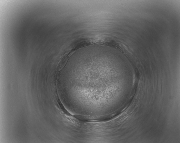 X0000058141345200509302008