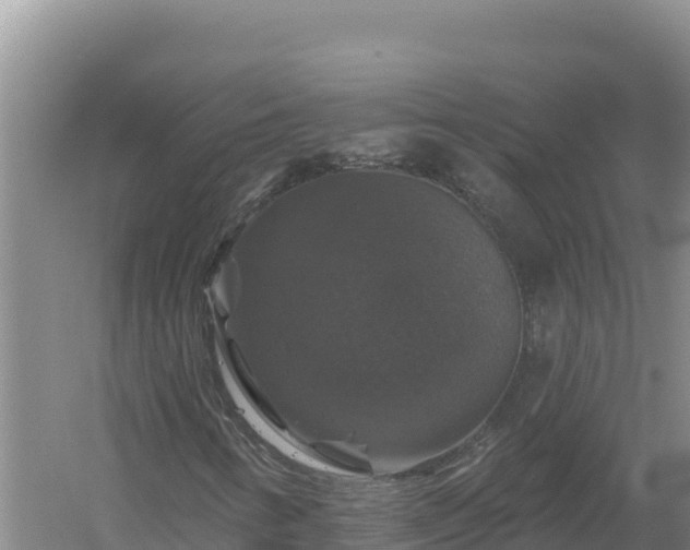 X0000058141346200509302008