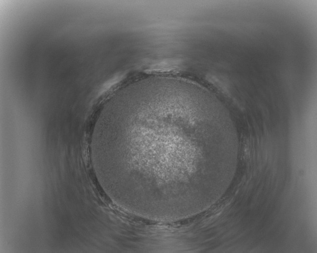 X0000058141350200509302008