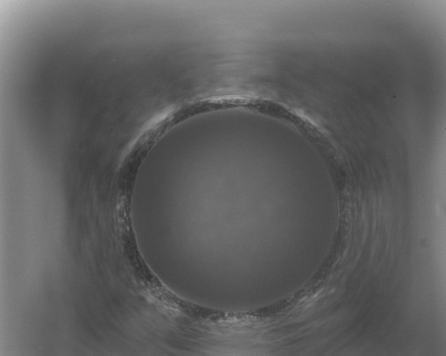 X0000058141351200509302008