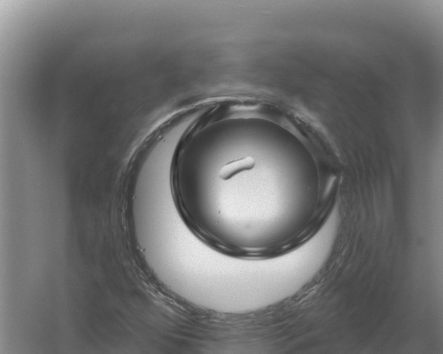 X0000058141352200509302008