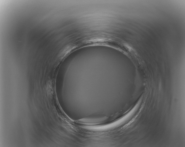 X0000058141353200509302008