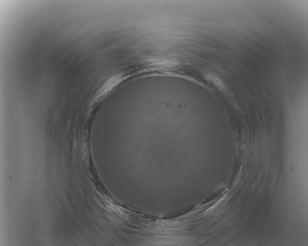 X0000058141354200509302008