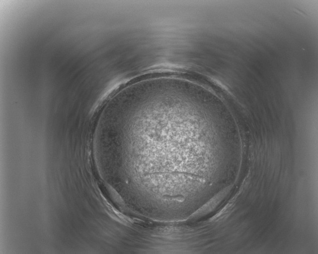 X0000058141355200509302008