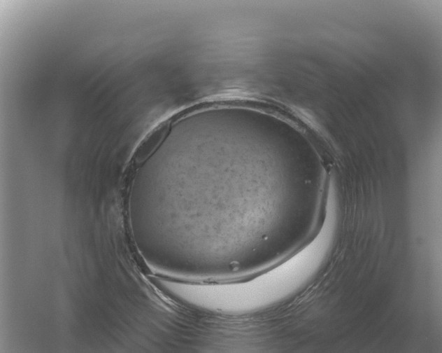 X0000058141356200509302008