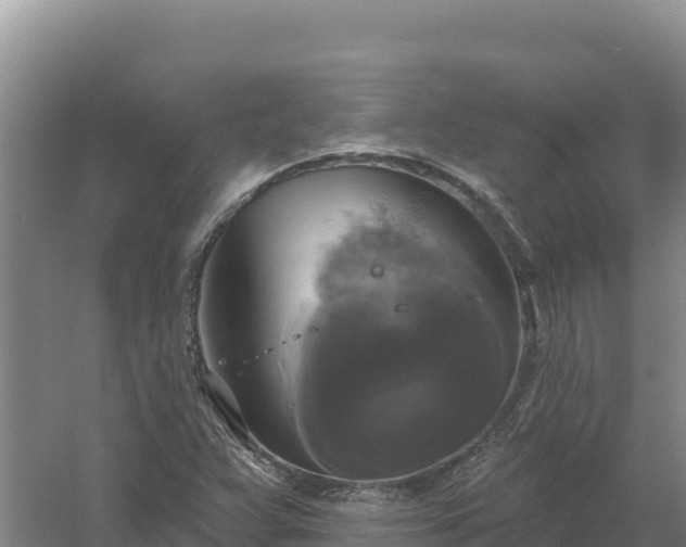 X0000058141359200509302008