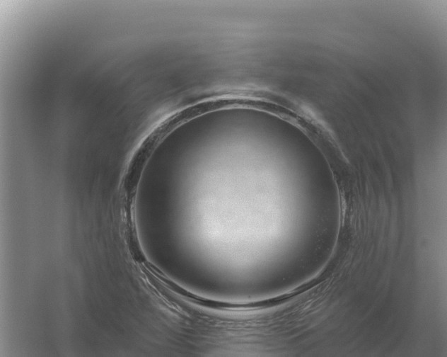 X0000058141360200509302008