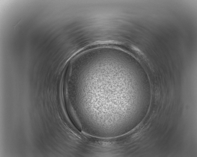 X0000058141361200509302008