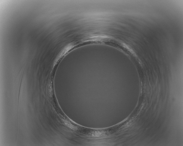 X0000058141362200509302008