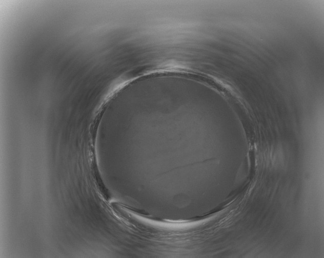 X0000058141363200509302008