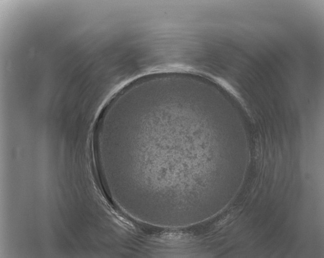 X0000058141364200509302008