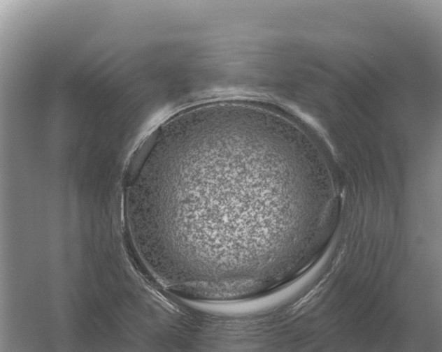 X0000058141365200509302008