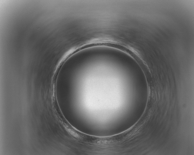 X0000058141366200509302008