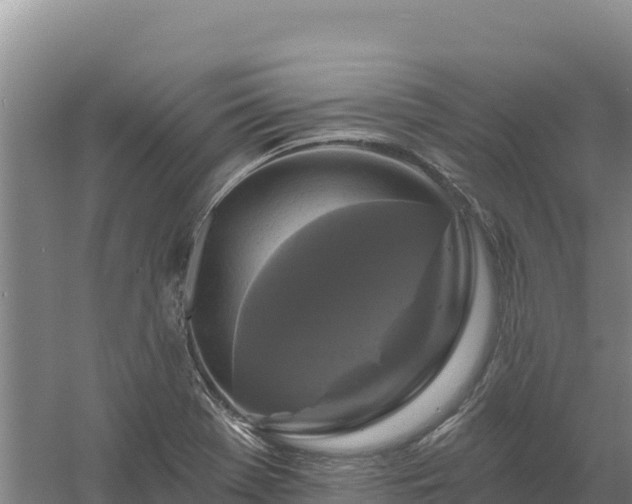 X0000058141369200509302008