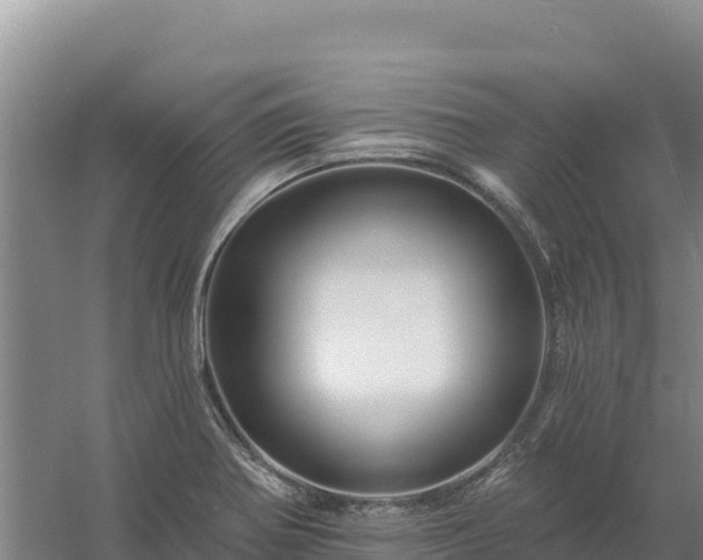 X0000058141370200509302008