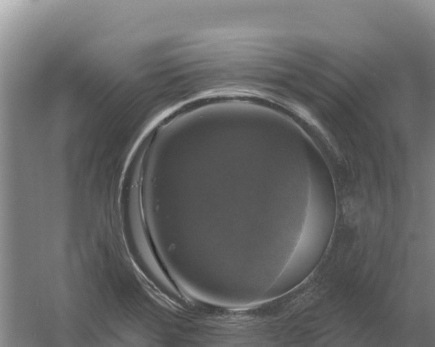 X0000058141372200509302008