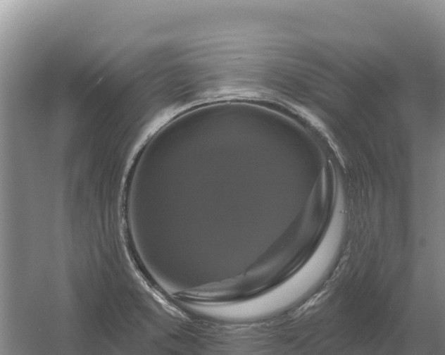 X0000058141373200509302008