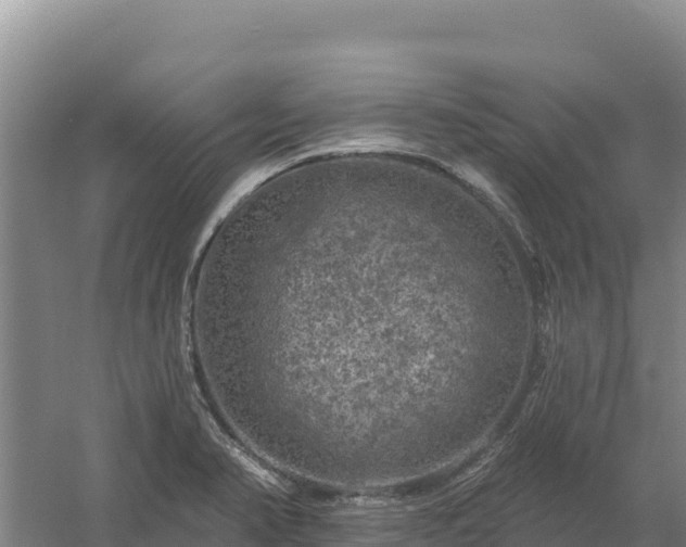 X0000058141374200509302008