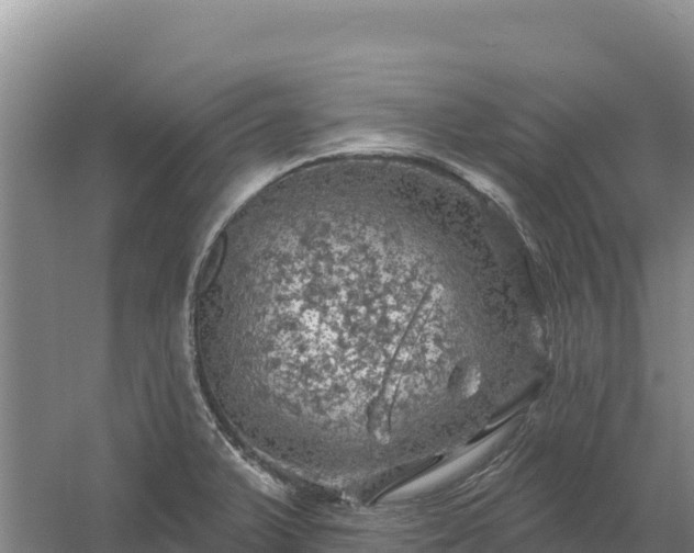 X0000058141375200509302008