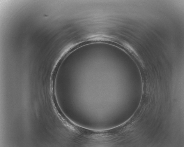 X0000058141376200509302007