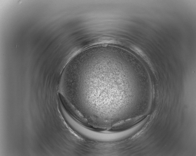 X0000058141377200509302007