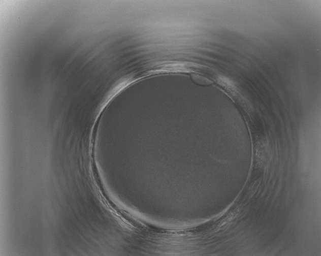 X0000058141378200509302007