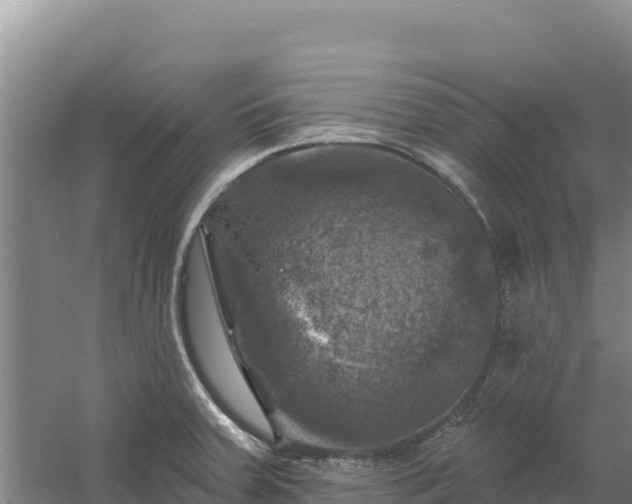 X0000058141379200509302007