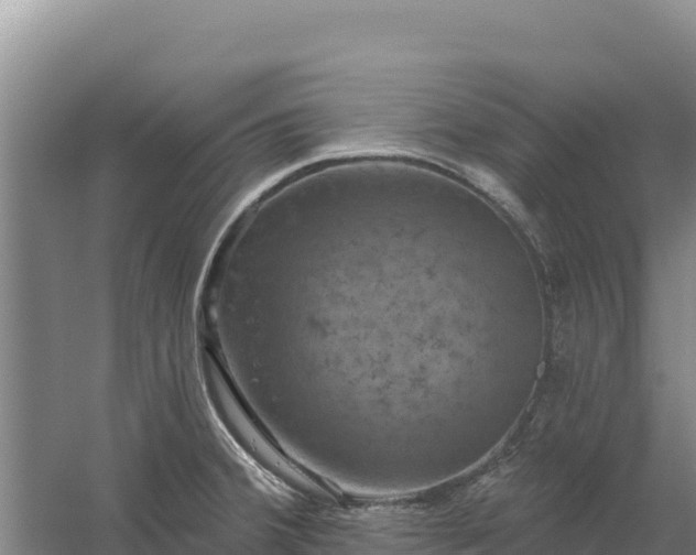 X0000058141380200509302007