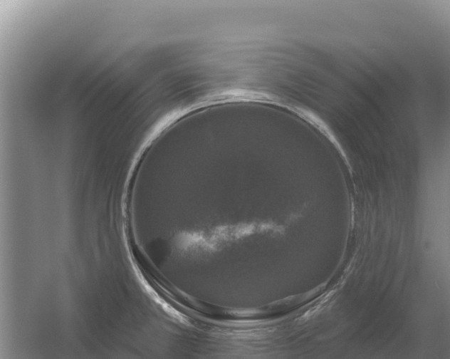 X0000058141381200509302007