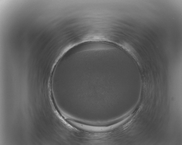 X0000058141382200509302007