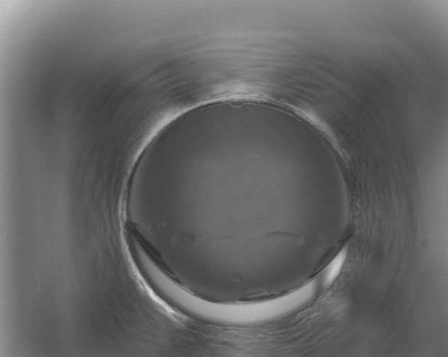 X0000058141383200509302007