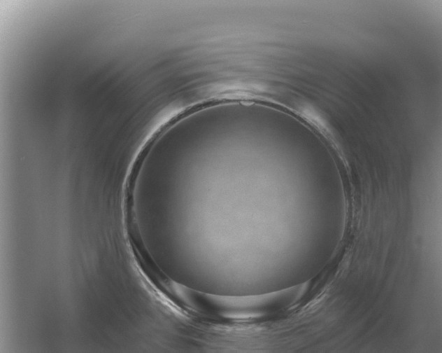 X0000058141384200509302007