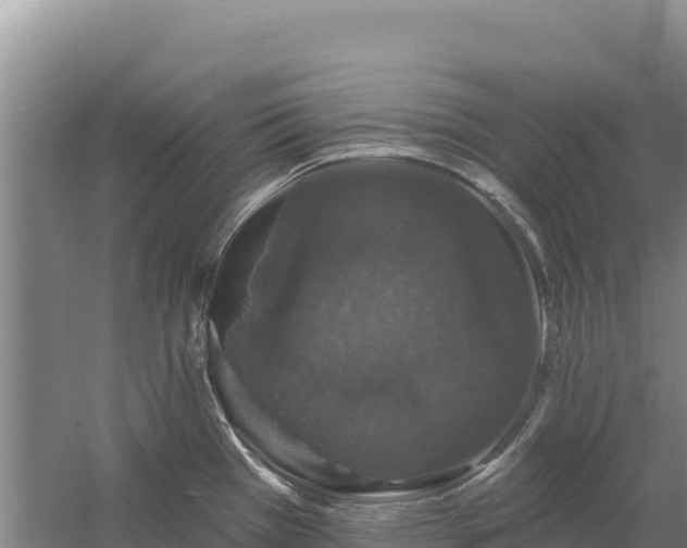 X0000058141385200509302007