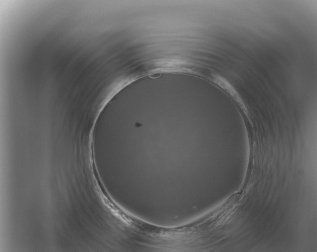 X0000058141386200509302007