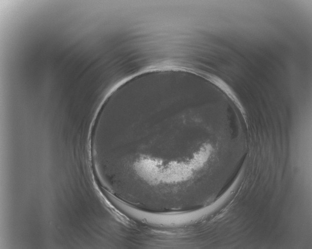 X0000058141388200509302007