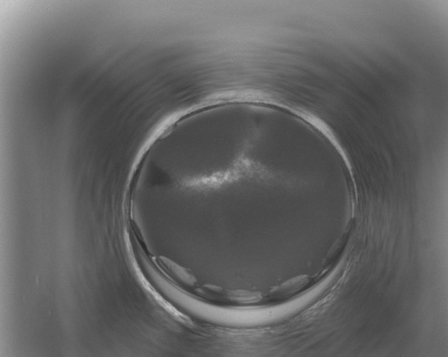 X0000058141389200509302007