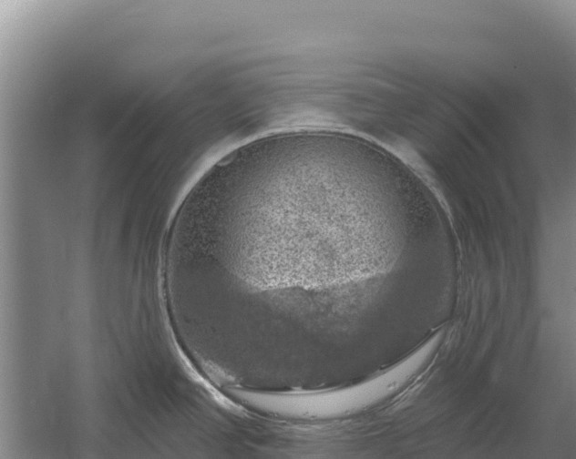 X0000058141390200509302007