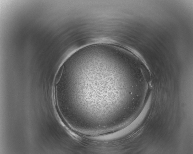 X0000058141391200509302007