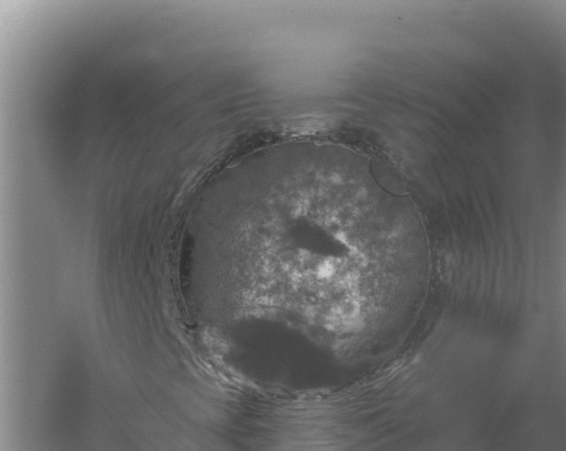 X0000058141393200509302006