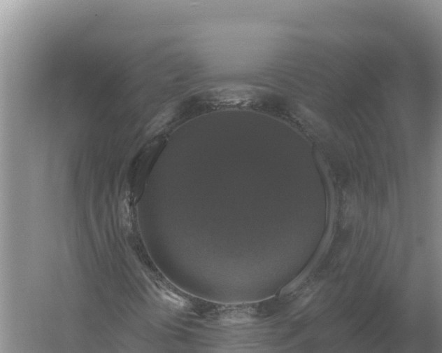 X0000058141394200509302006