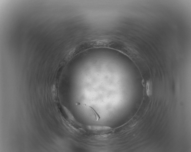 X0000058141395200509302006