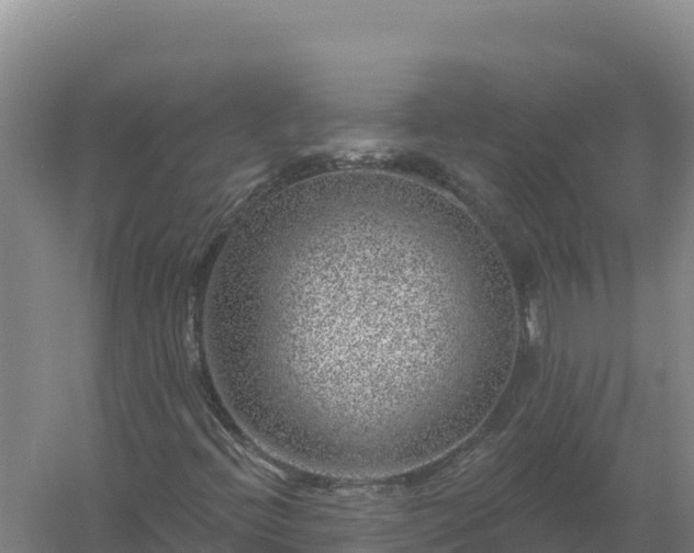 X0000058141396200509302006