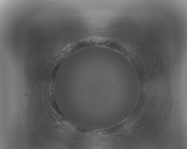 X0000058141397200509302006