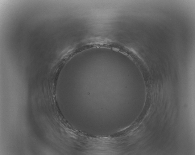 X0000058141399200509302007