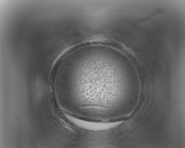 X0000058141400200509302007