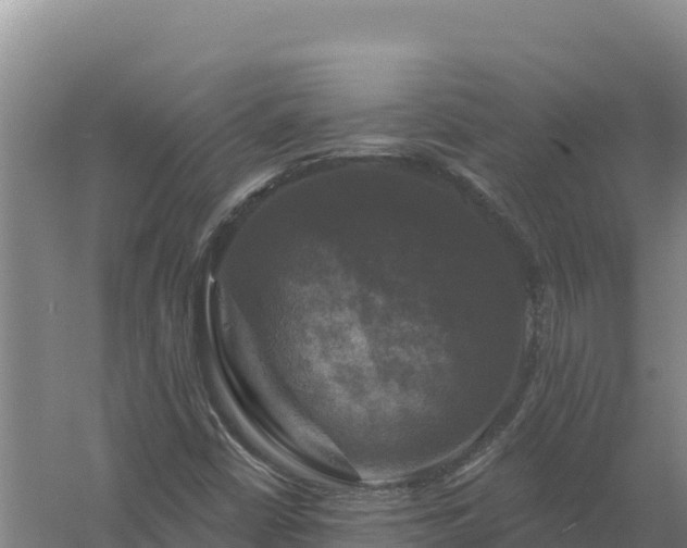 X0000058141402200509302007