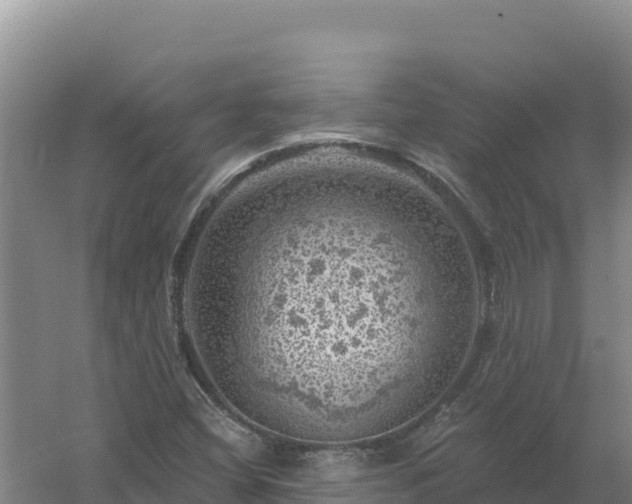 X0000058141404200509302007