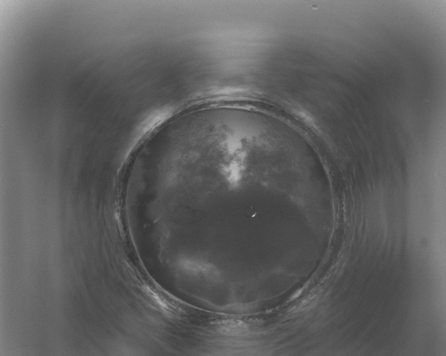 X0000058141405200509302007